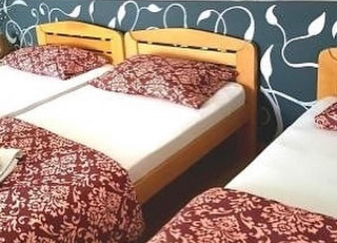 Guesthouse Vladimir & Ana Панчево Экстерьер фото